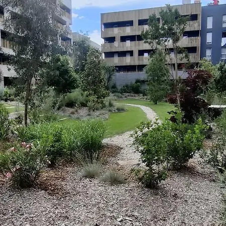 T3 Avec Terrasse Proche De Parking Tram Montpellier